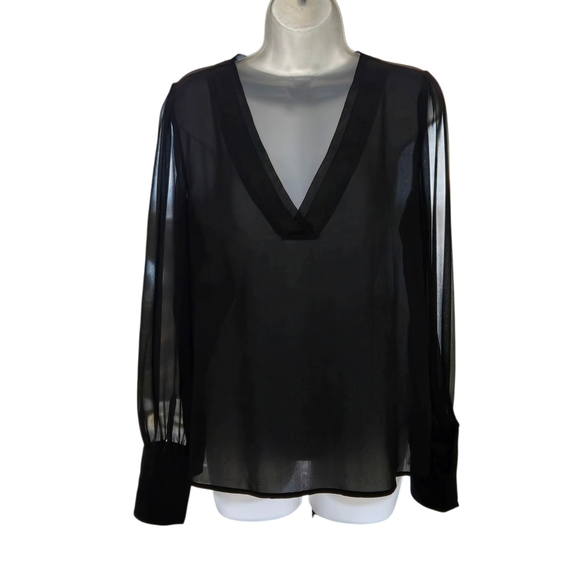 Express Sheer Black V-Neck Blouse - Picture 1 of 9